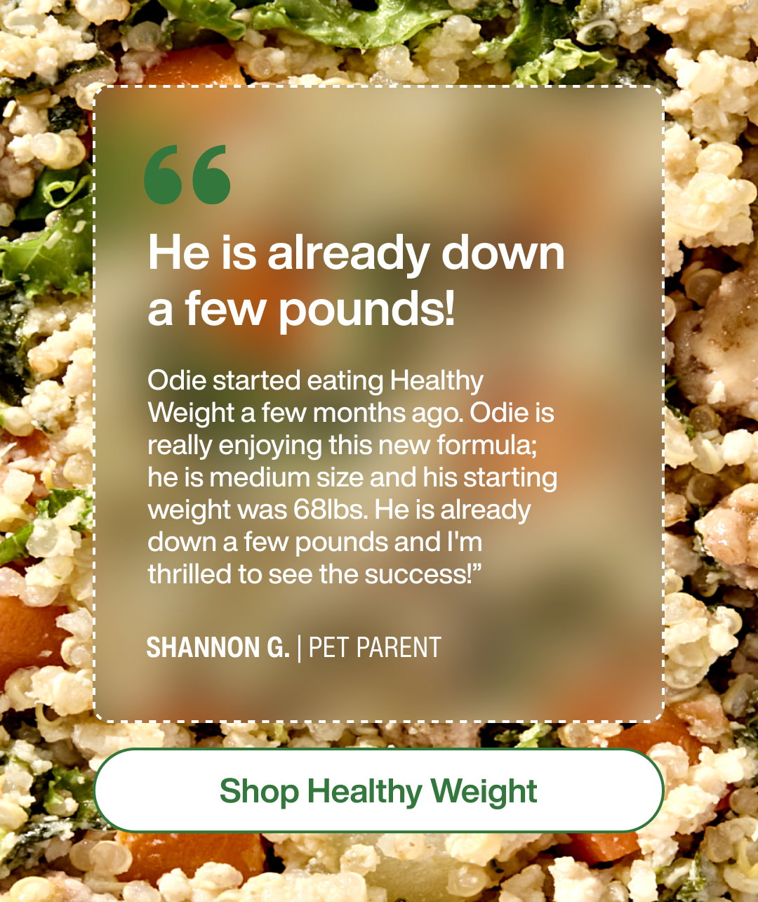 Shop now
