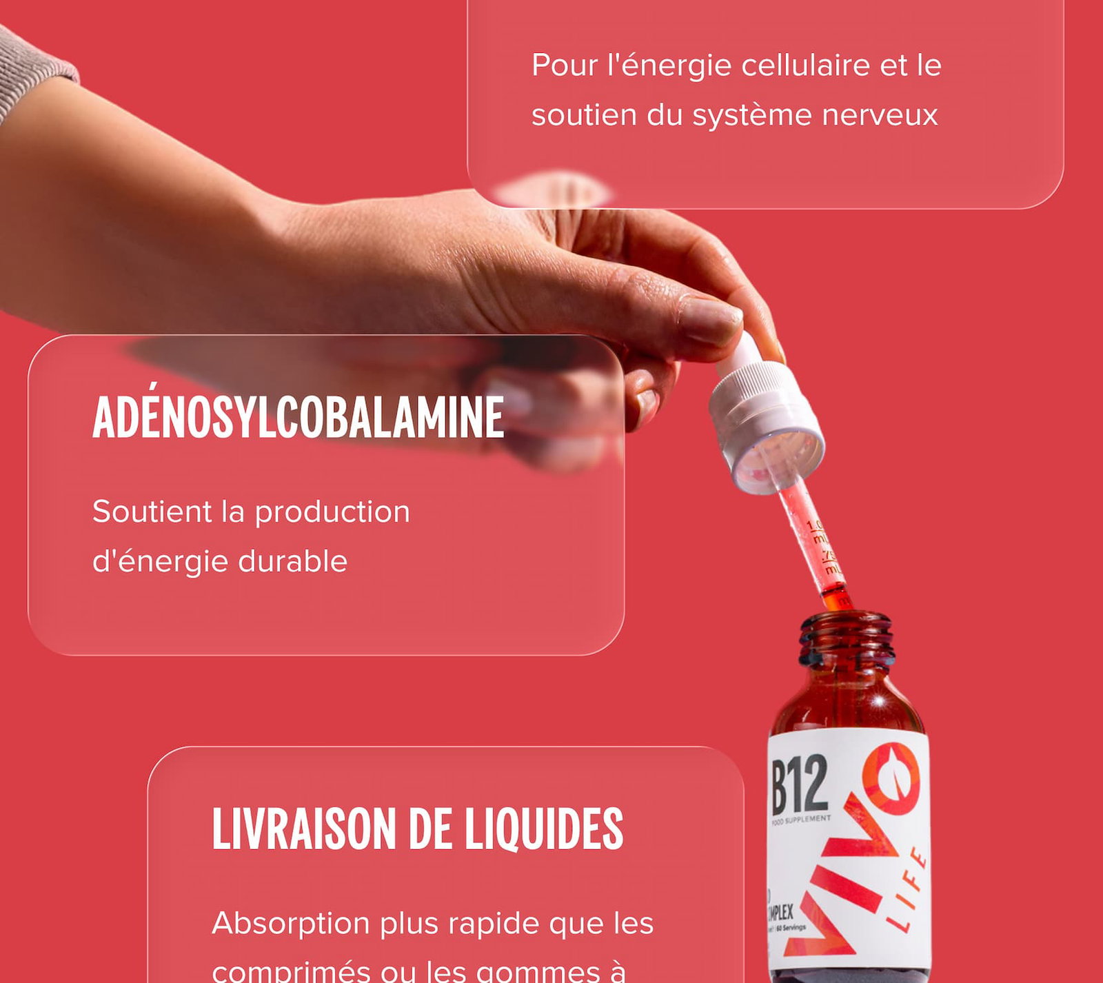 Méthylcobalamine (B12) Pour l'énergie cellulaire et le soutien du système nerveux Adénosylcobalamine Soutient la production d'énergie durable