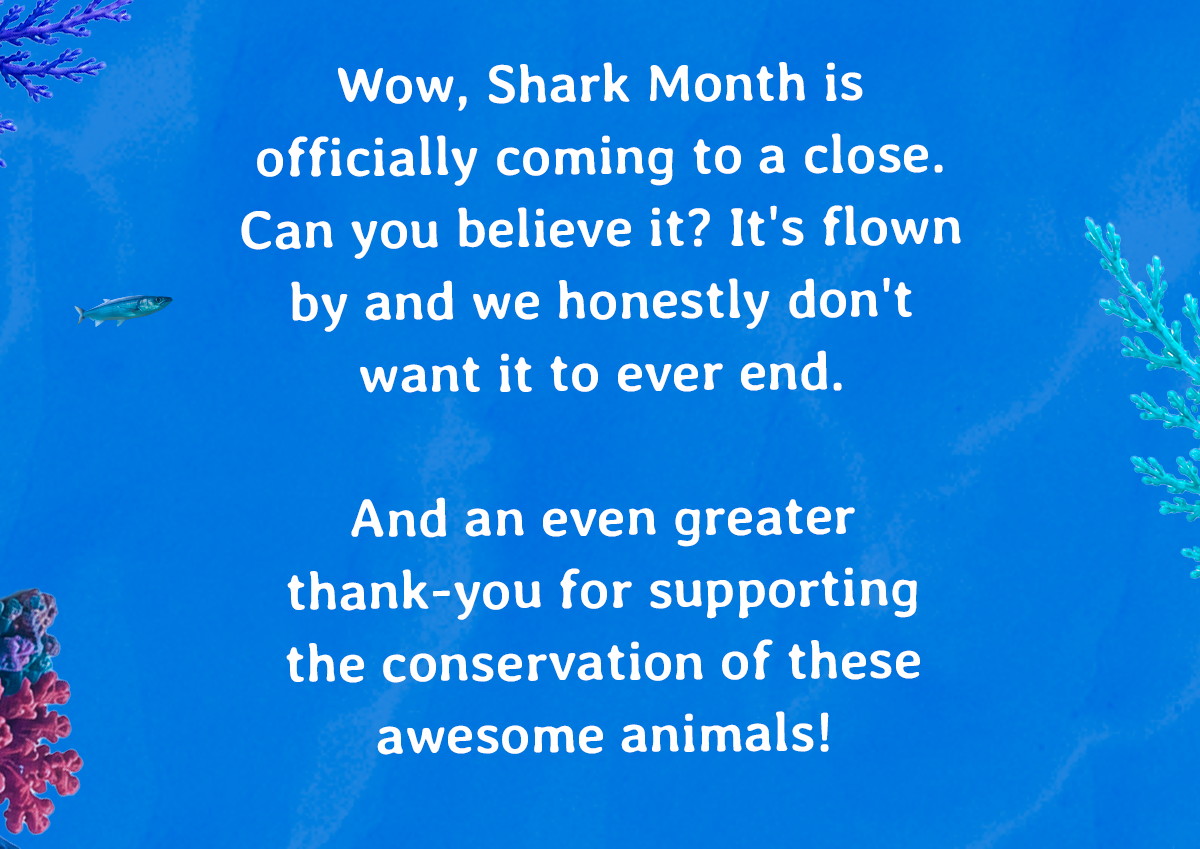 Shark Month is officially coming to a close. Can you believe it? 