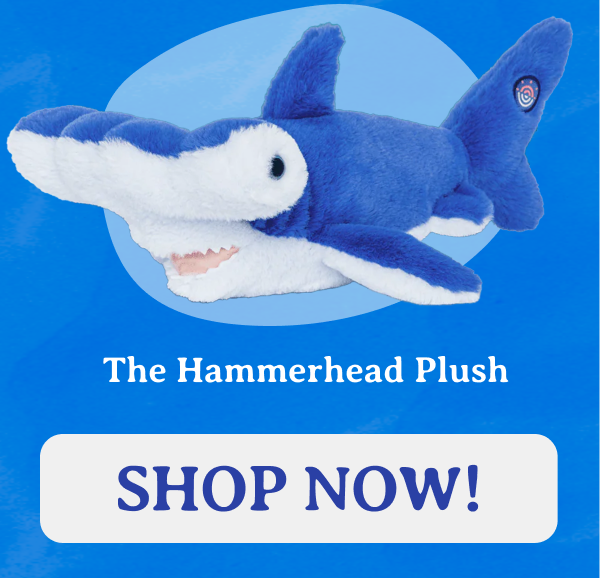 Shop now the Hammerhead Plush!