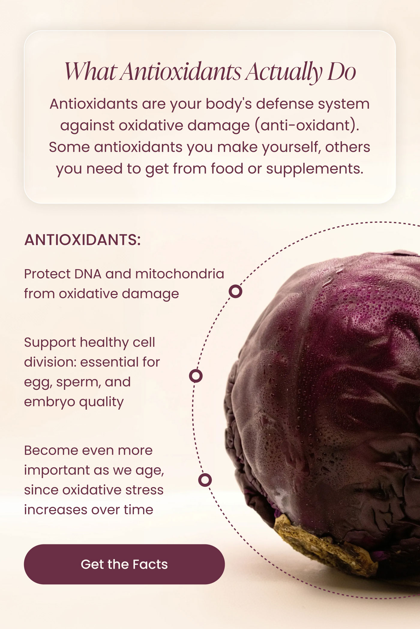 What Antioxidants Actually Do  Antioxidants are your body's defense system against oxidative damage (anti-oxidant). Some antioxidants you make yourself, others you need to get from food or supplements.  ANTIOXIDANTS:  Protect DNA and mitochondria from oxidative damage  Support healthy cell division: essential for egg, sperm, and embryo quality  Become even more important as we age, since oxidative stress increases over time  Get the Facts