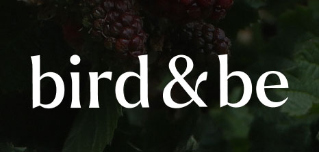 Bird&Be
