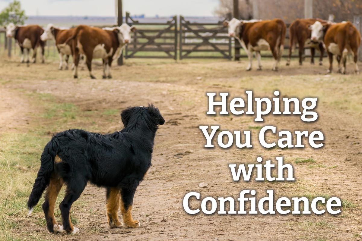 Helping You Care with Confidence - Shop Now