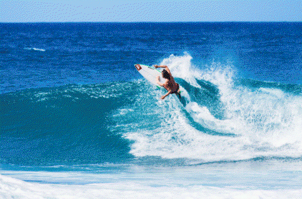 GIF of surfer riding a wave