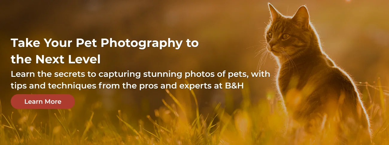 pet photo banner 7-28