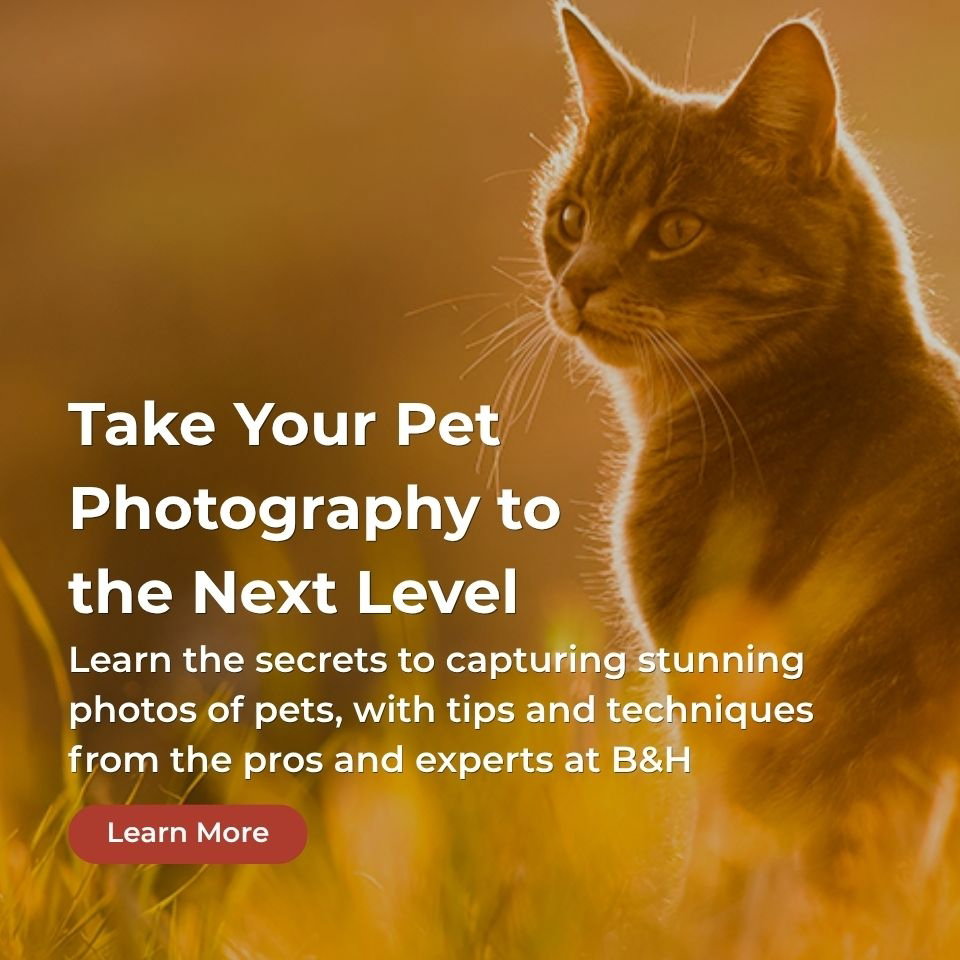 pet photo banner 7-28