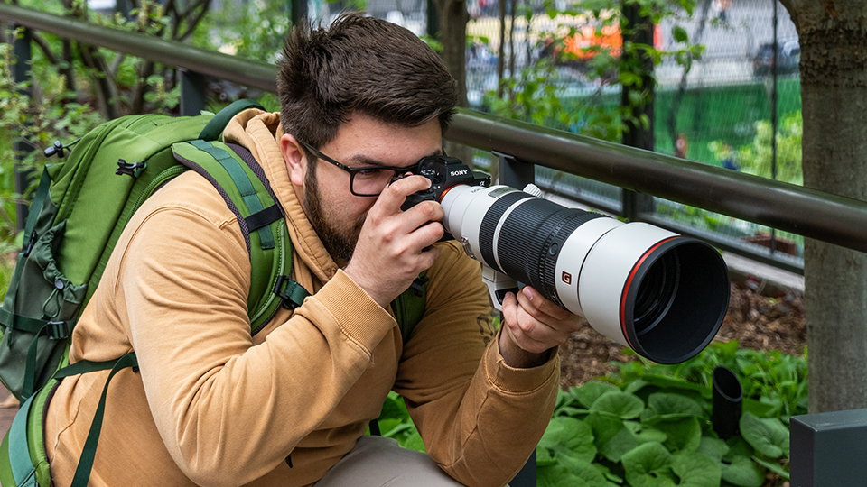 Best Mirrorless Camera Setups for Bird Watchers