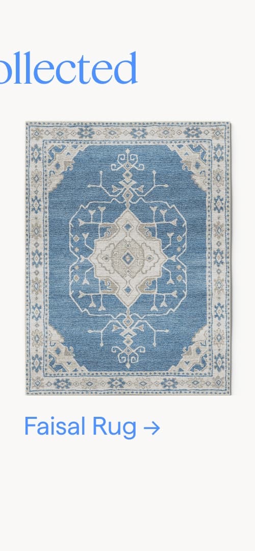 Cool and collected. Faisal Rug.