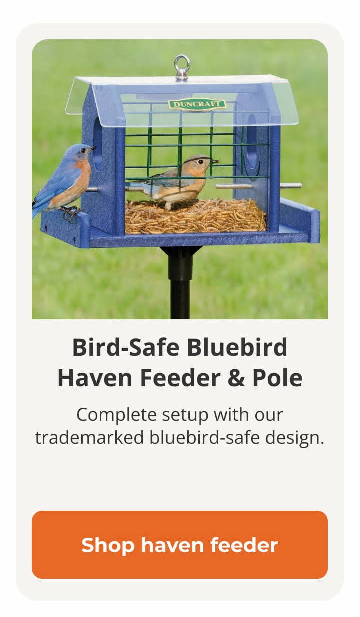  Duncraft Bird-Safe® Bluebird Haven Feeder with Pole 