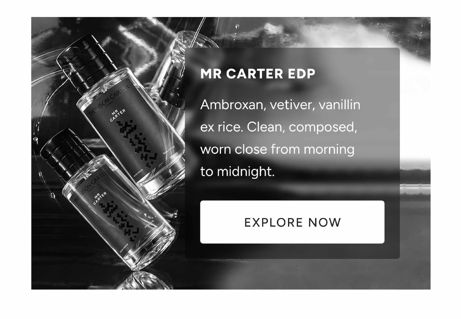  Mr Carter EDP