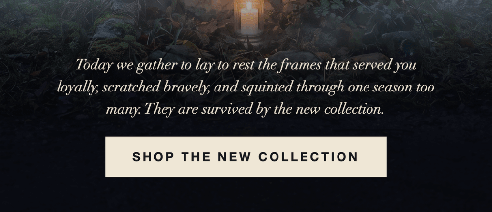 shop new in