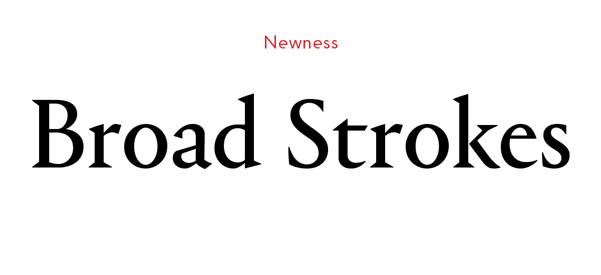 Newness: Broad Strokes