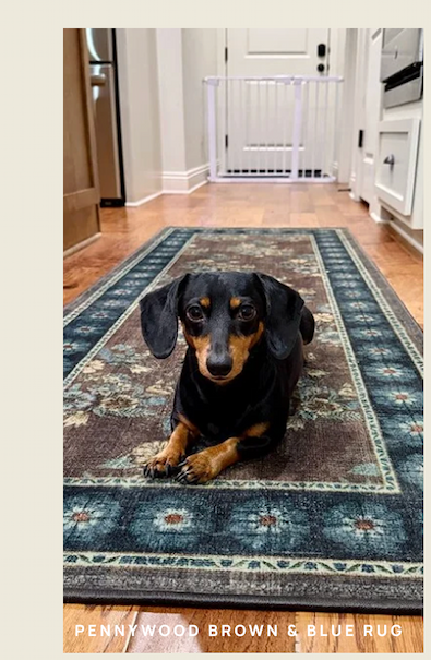 PENNYWOOD BROWN & BLUE RUG