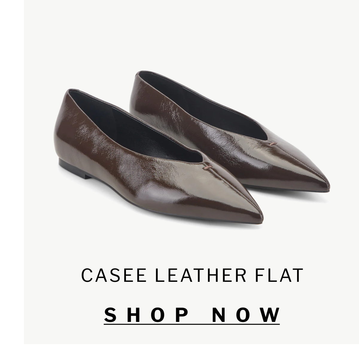Casee Leather Flat SHOP NOW