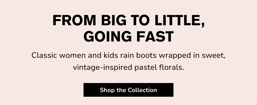 Shop the Collection