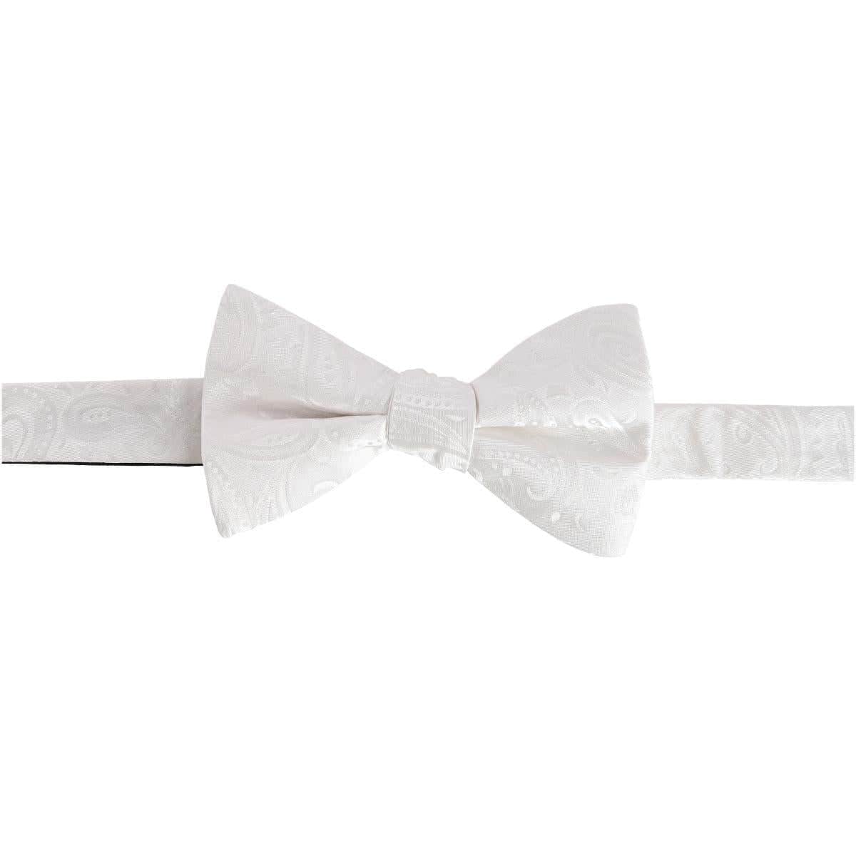 Image of Banbury Tone on Tone Paisley Silk Bow Tie