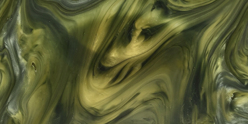 Shop Algae