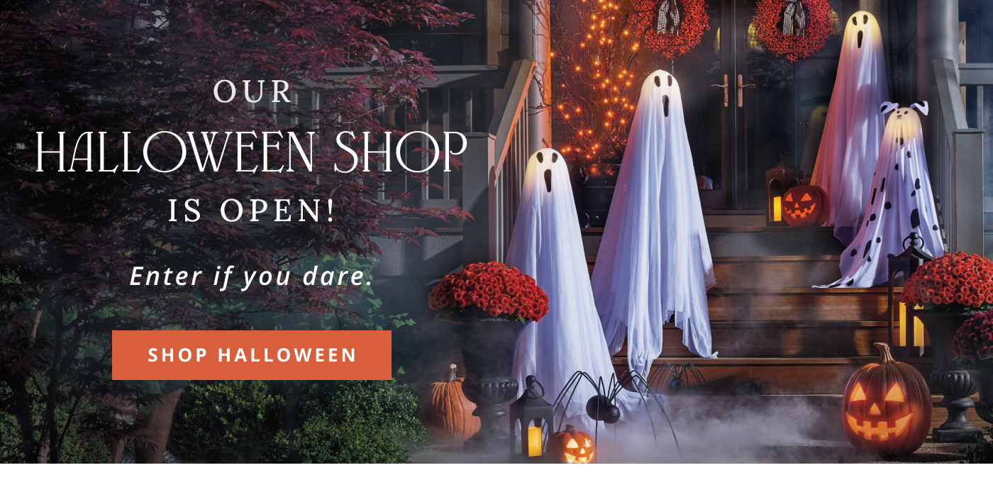 Shop our NEWEST Halloween items