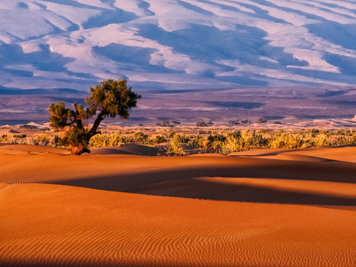 Sahara Desert, Morocco