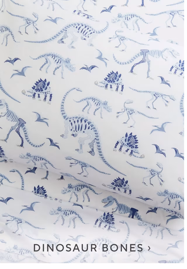 dinosaur bones