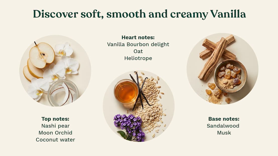 Vanilla scent notes