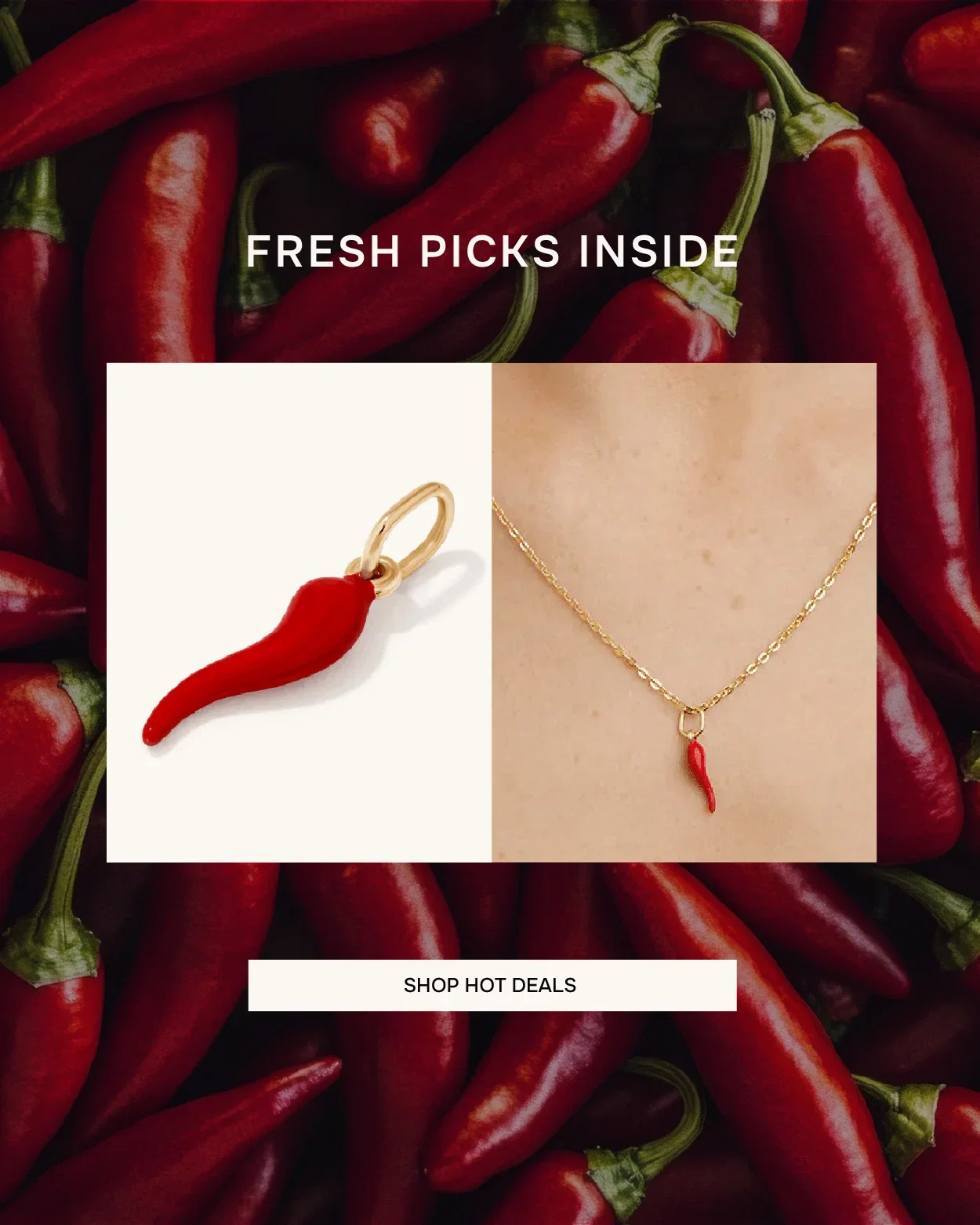 Fresh Picks Inside | Shop Hot Deals
