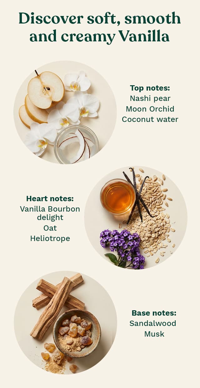 Vanilla Scent Notes 