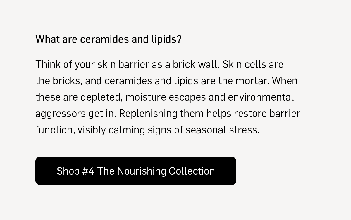 #4 The Nourishing Collection