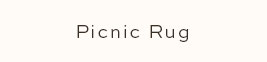 Picnic Rug - Pink Picnic Plaid