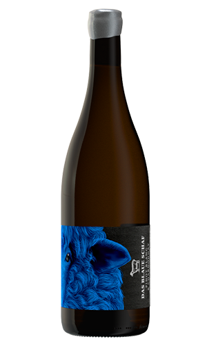 Das blaue Schaf