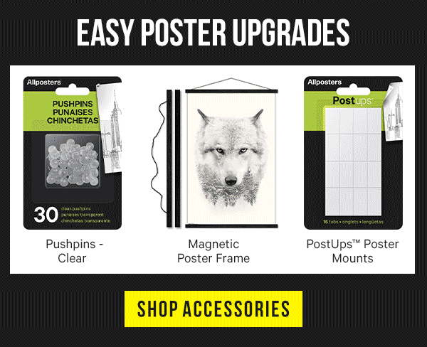 Easy Poster Upgrades - Shop Accessories