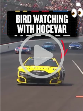NASCAR IG Reel - Carson Hocevar give birds to Heim