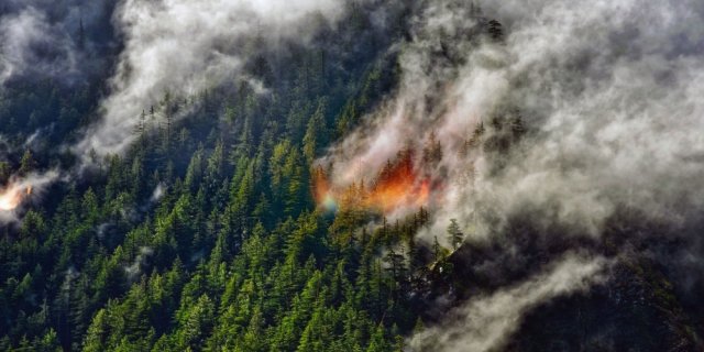 Livre incendie