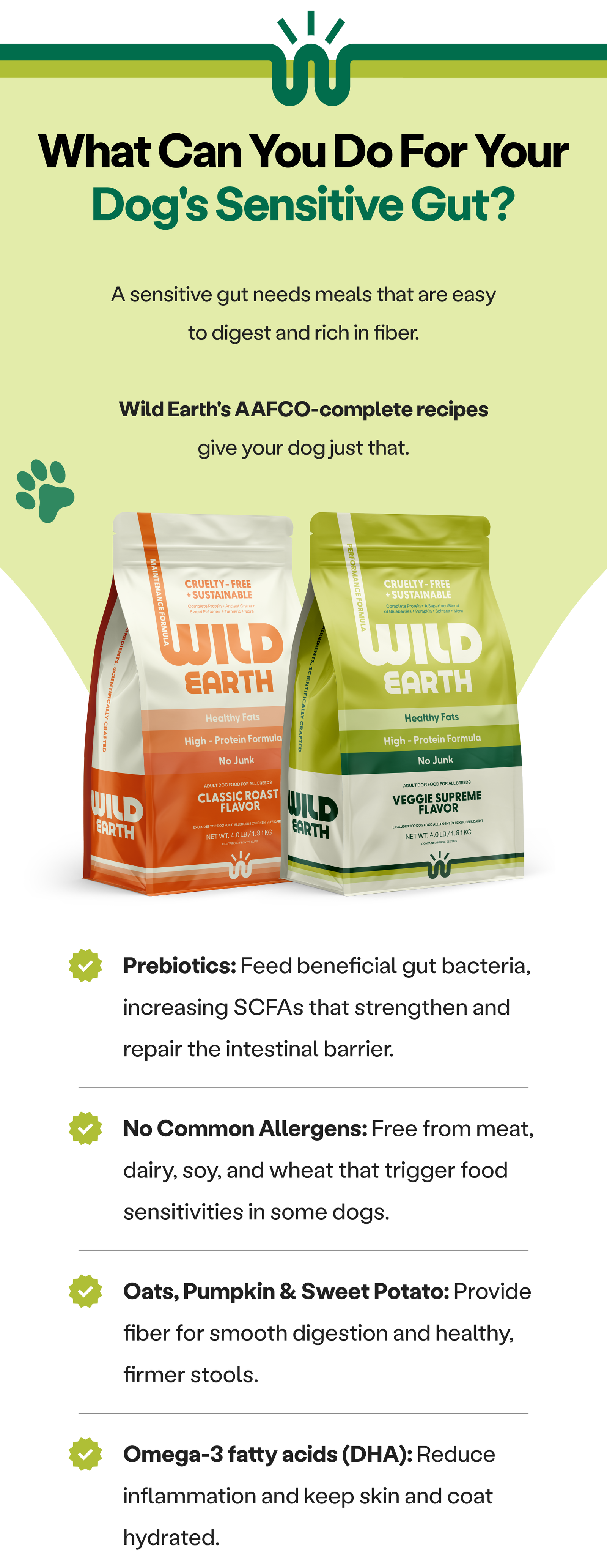 Shop Wild Earth 