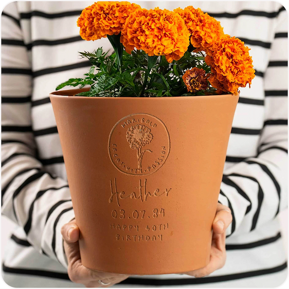 A terracotta pot engraved with a birth flower design, held against a striped top and planted with bright orange flowers