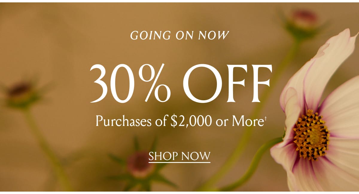 Going on Now - 30% Off Purchases of $2,000 or More