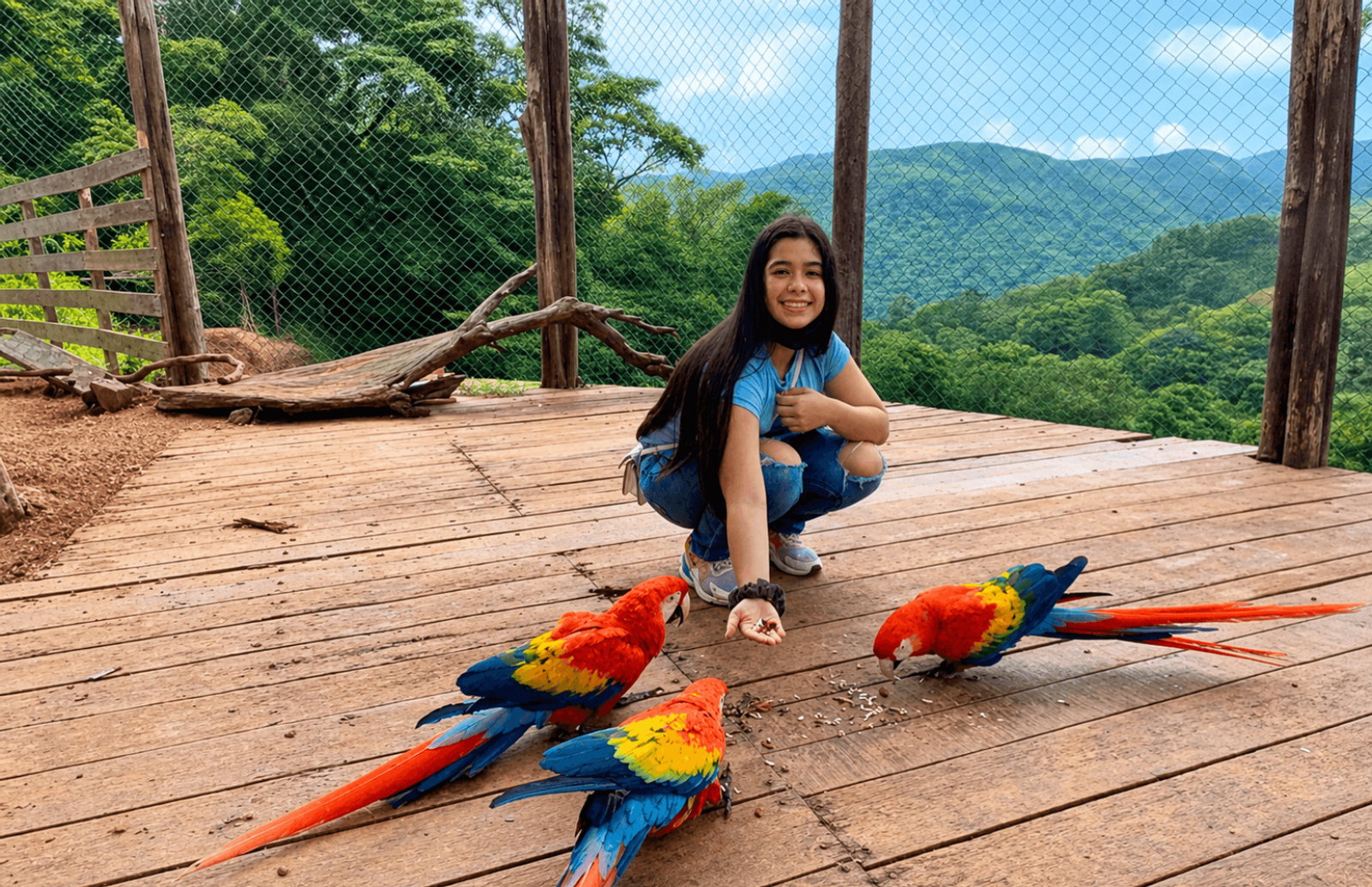 Conejo Pintado Panamá