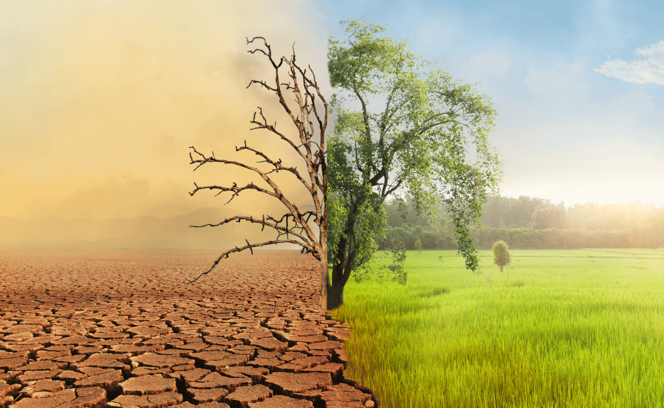 climate change course image
