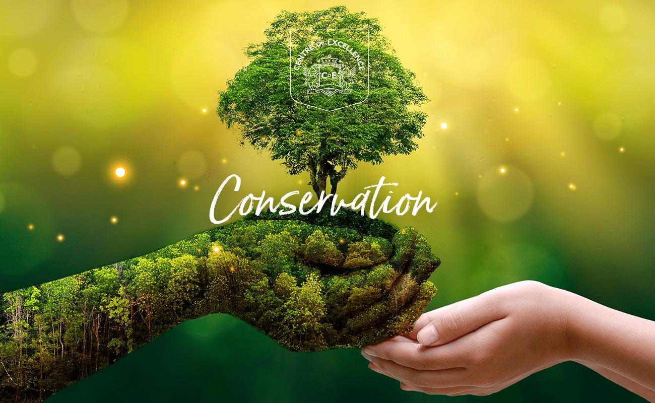 Conservation diploma banner