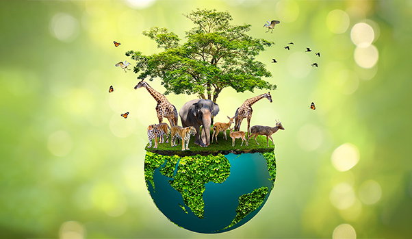 Wildlife conservation diploma banner
