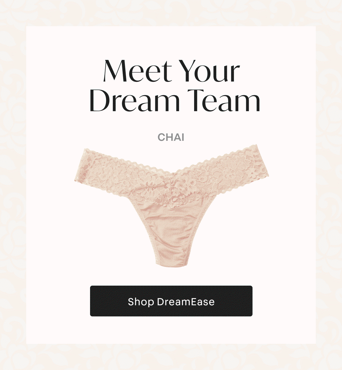 Meet Your Dream Team 