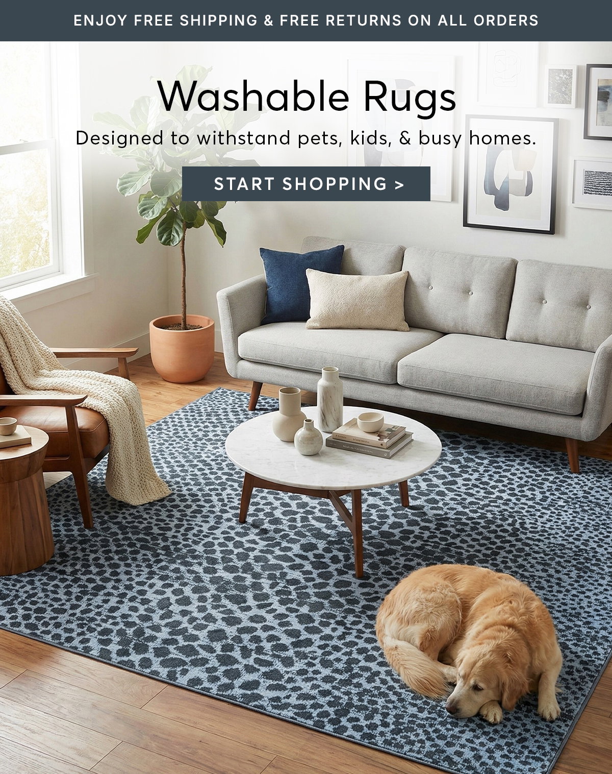 Washable Rugs