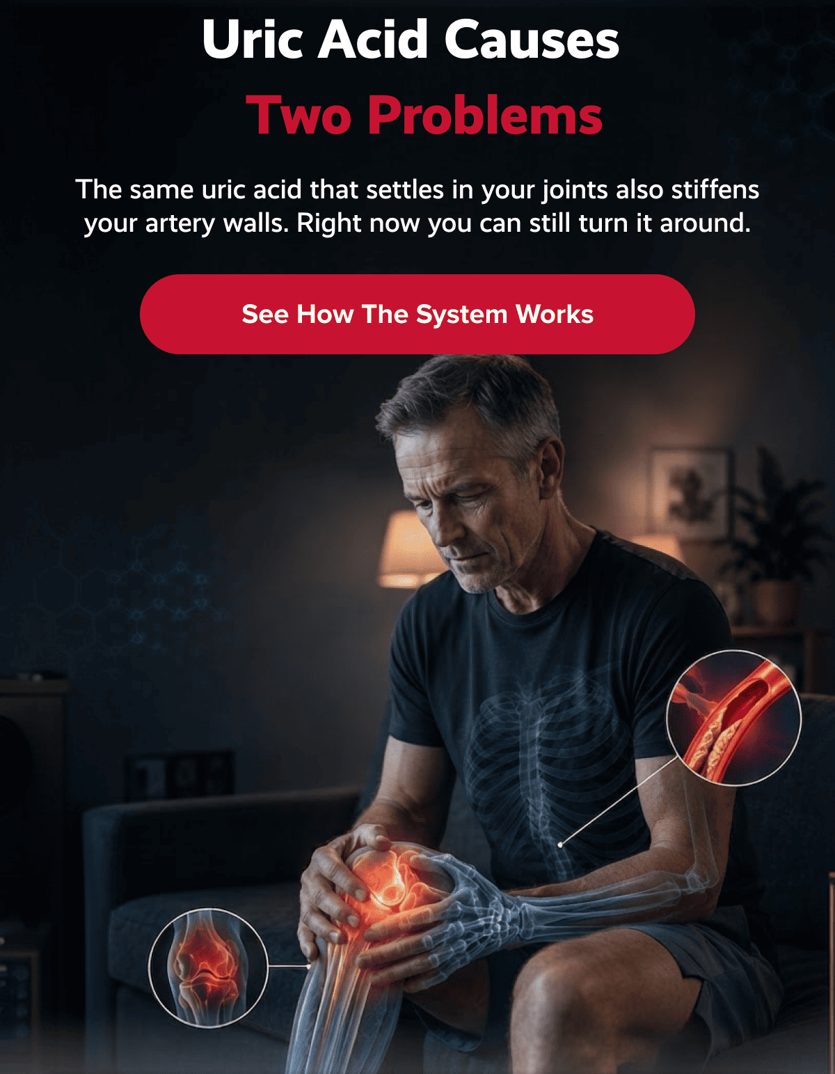 Uric acid causes  two Problems | The same uric acid that settles in your joints also stiffens your artery walls. Right now you can still turn it around. | See how the system works