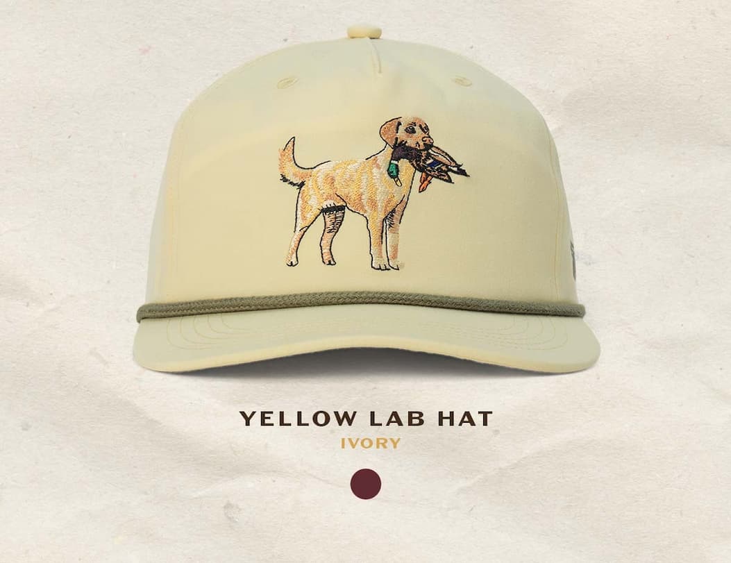 Yellow Lab - ivory