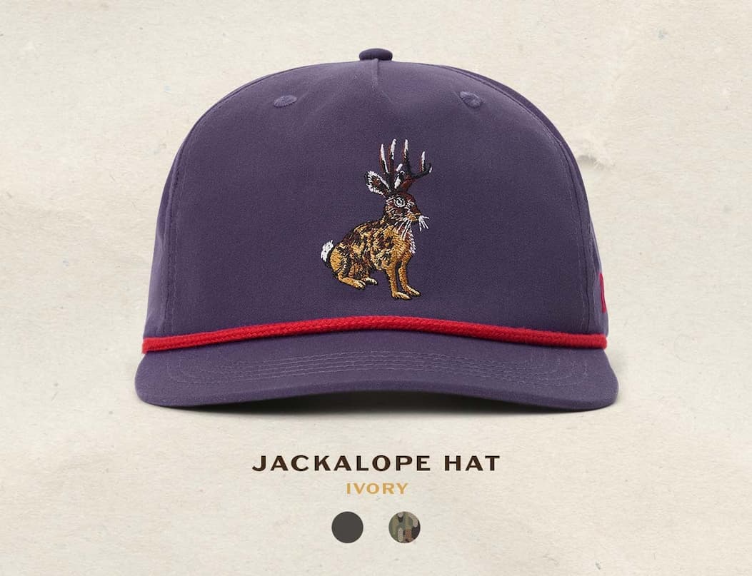 Jackalope - Raven