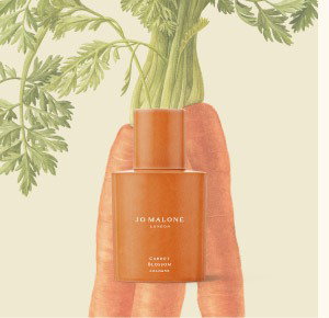 Carrot Blossom Cologne