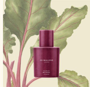 Scarlet Beetroot Cologne