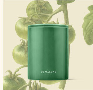 Tomato vine candle