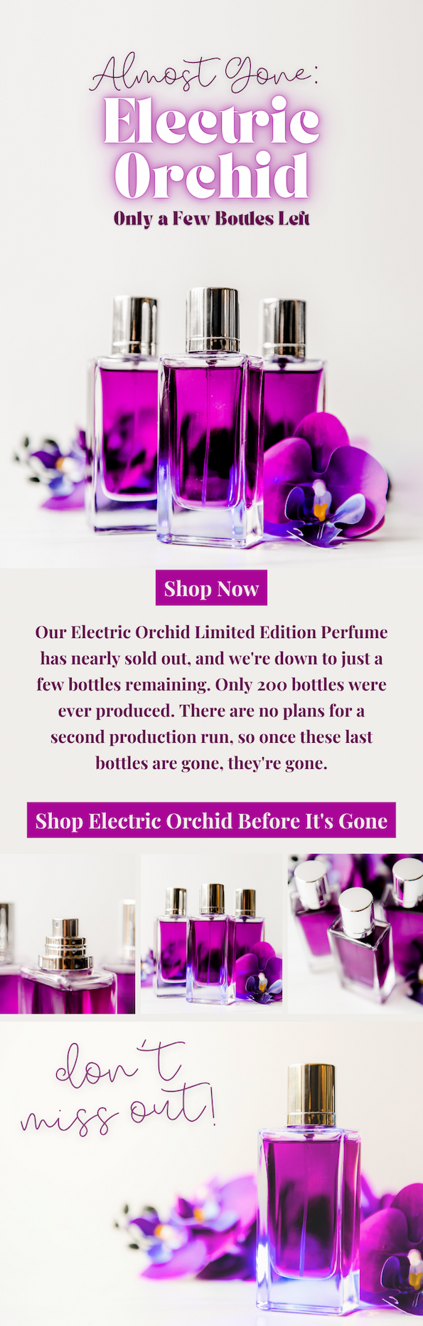 Limited Release: Electric Orchid
