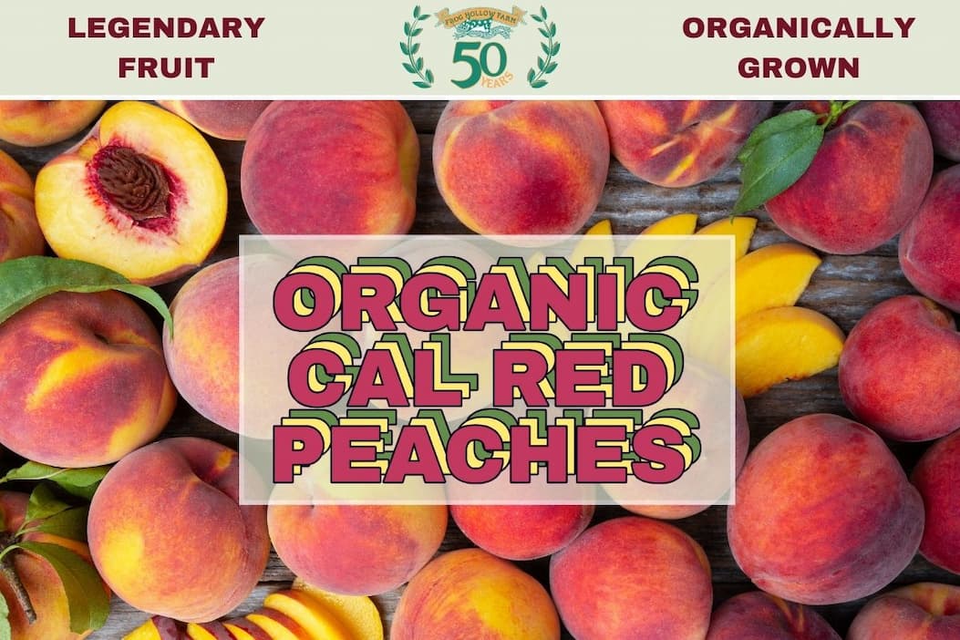 Organic peaches